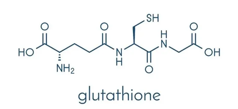 Diagram glutathione lifewave hos gopatch